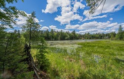 Off WATERSMEET LAKE RD, Eagle River, WI 54521