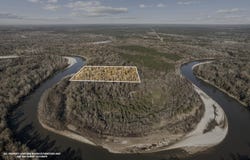 12.5 Acres Marion Co, Sandy Hook, MS 39478