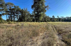 Polk Road 178, Mena, AR 71953