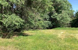 W1410 MEADOWOOD SHORES Drive, NESHKORO, WI 54960-0000