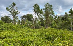 2250 Sulstone Drive, Punta Gorda, FL 33983