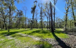 158 SW BUMBLE, Fort White, FL 32038