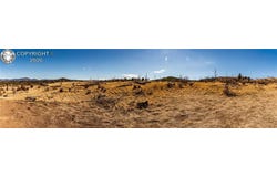 E Path, Cotopaxi, CO 81223