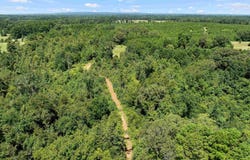 TBD S FM 225, Laneville, TX 75667
