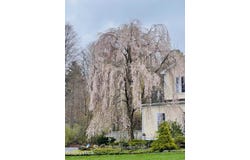 130 E Dugway Rd, Lenox, MA 01240