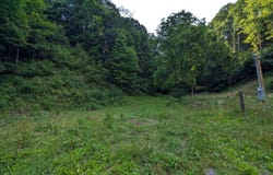 Tbd New Hurland Church Road, Hiltons, VA 24258