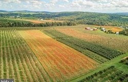 PARCEL 1, BENDERSVILLE, PA 17306