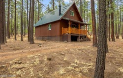 19 Hillcrest Drive, Alpine, AZ 85920