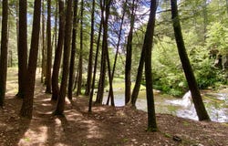 281 Dewitt Road, Olivebridge, NY 12461