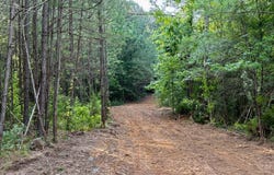 4850 Highway 395, Noxapater, MS 39346