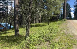 Tbd Mustang Way, Garden Valley, ID 83622