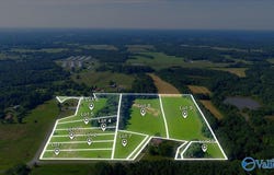 Lot 2 County Road 462, Pisgah, AL 35765