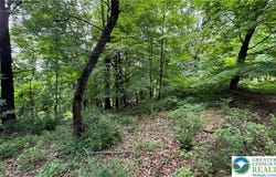 305 Shawnee Avenue, Easton, PA 18042