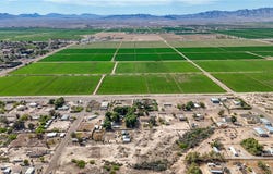 Pecan, Mohave Valley, AZ 86440