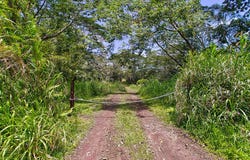 PAHOA KALAPANA RD, Pahoa, HI 96778