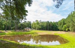 2279 Old Georgia Highway 3, Pelham, GA 31779