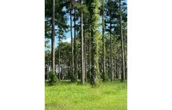 96 278 Dawson Creek Blvd lot: 96, Oriental, NC 28571