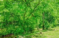 2636 Shields Ferry Rd, Morristown, TN 37814