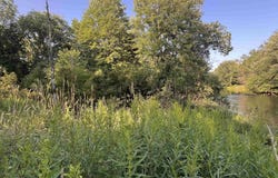 12.7 AC M-77, Germfask, MI 49836