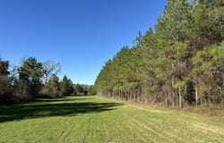 011 Mt Zion, Gordon, AL 36343