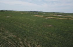 260th, Bridgewater, SD 57319