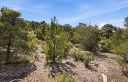 155 Oak Trail Circle, Cold Creek, NV 89124