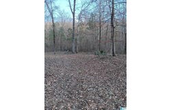 0 VALLEY CIRCLE, WARRIOR, AL 35180