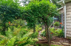 136 Fawn Lane unit: 10, Roaring Gap, NC 28668