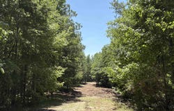 HIGHWAY 191 lot: 1, MAPLESVILLE, AL 36750