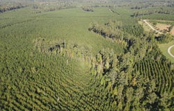 Kilpatrick Rd Tract 2D, Eatonton, GA 31024