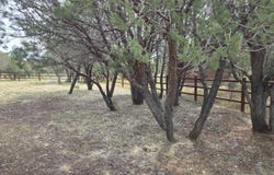 2757 Kitty Hawk Lane, Overgaard, AZ 85933