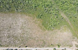 TBD NW John F. Bailey Rd., Blountstown, FL 32424
