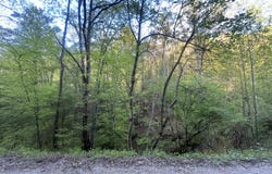 9999 Saddler Road, Manchester, KY 40962