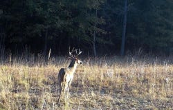 000 Clinton Church Road LOT 20, Salley, SC 29137