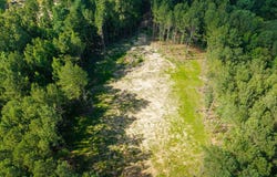 Trickhambridge Road lot: 7, Brandon, MS 39042