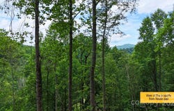 0000 Wayward Cove, Clyde, NC 28721