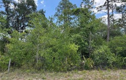 SW FLORIDA ROAD, ARCADIA, FL 34266