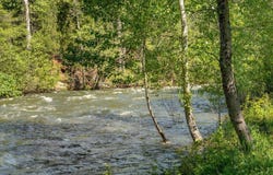 941 S First Street, Dunsmuir, CA 96025