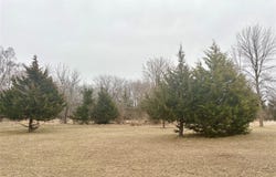 4730 NEFF Lane, Panora, IA 50216