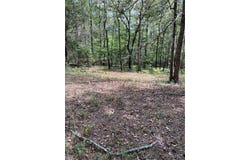 60 VICTOR Road, Bankston, AL 35542