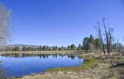 56490 Ii Road, Montrose, CO 81403