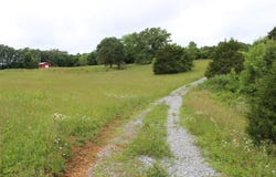 695 Calvert Road, Adolphus, KY 42120