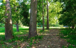 Lot 13 LAZY RIVER EAST RD, LURAY, VA 22835