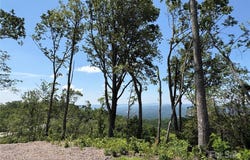 Lot 50 Mountain Grove Lane, Fletcher, NC 28732