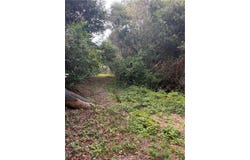 Sheffield Street, Cambria, CA 93428