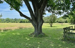 7902 Sandy Hill Road, Brenham, TX 77833