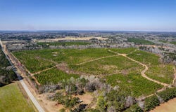 1766 CRAWFORDVILLE ROAD, White Plains, GA 30678