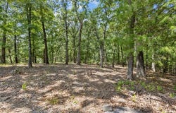 122 Whispering Hill Drive, Blue Eye, MO 65611