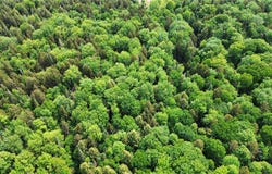 Rt-8 lot: 112, Cold Brook, NY 13324