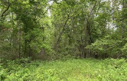 Tract X on Meadow Creek  DR, Harrison, AR 72601